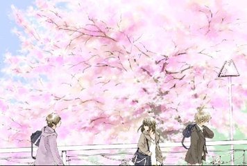 含羞四叶草蜜桃